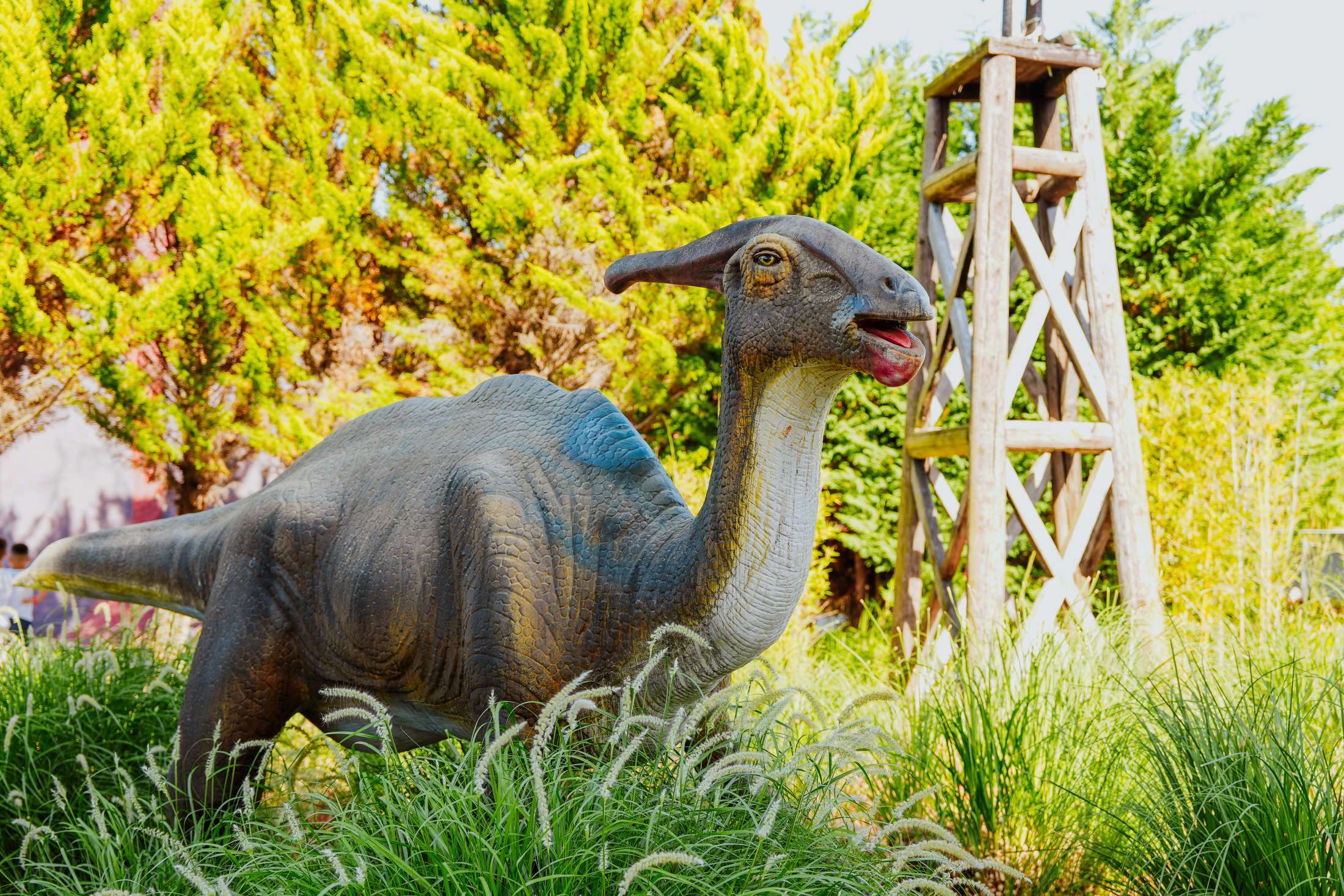 Attraction - Dino world