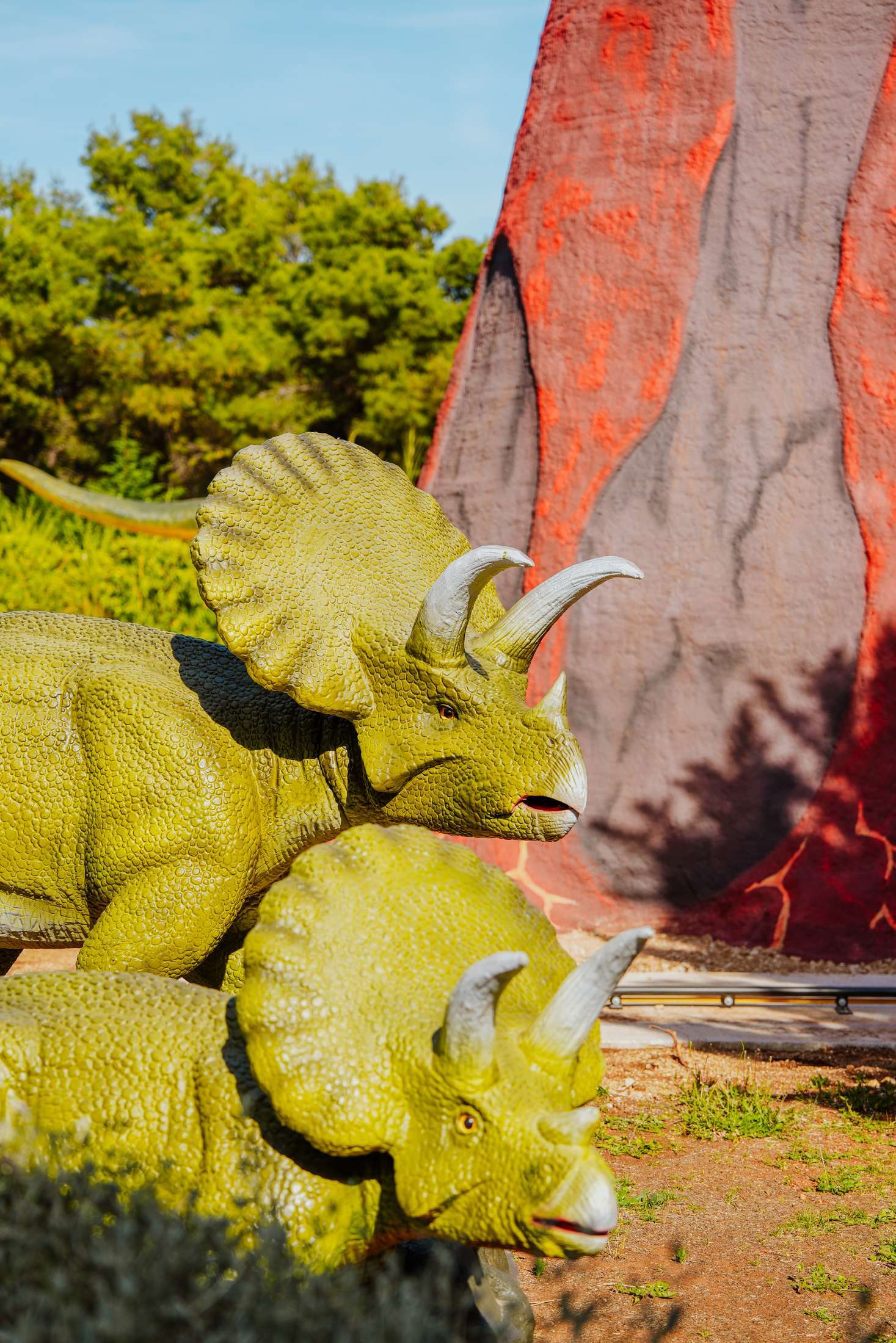 Attraction - Dino world