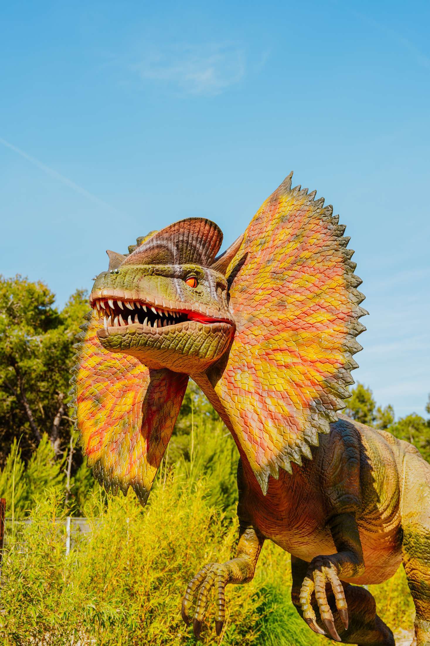 Attraction - Dino world