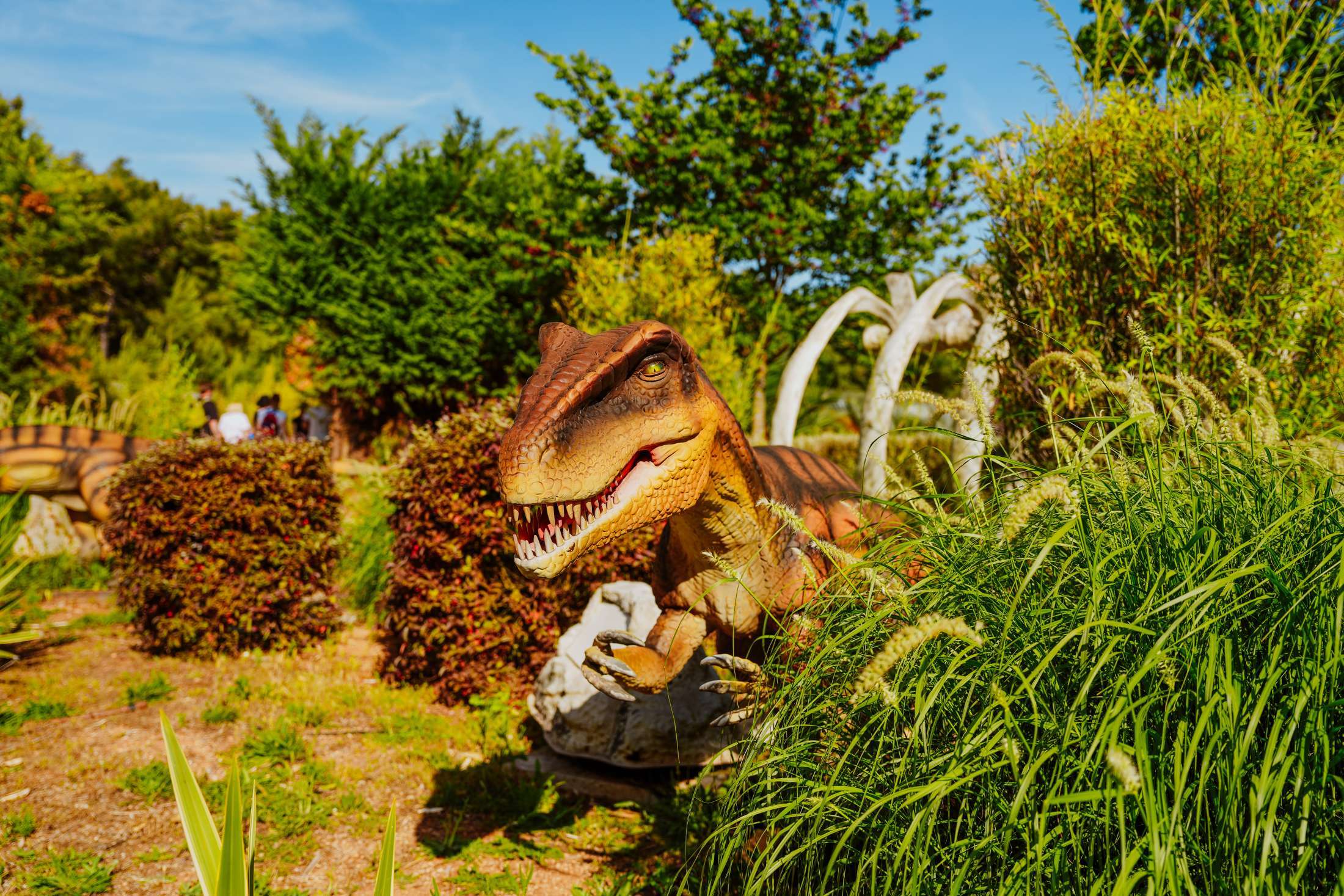 Attraction - Dino world