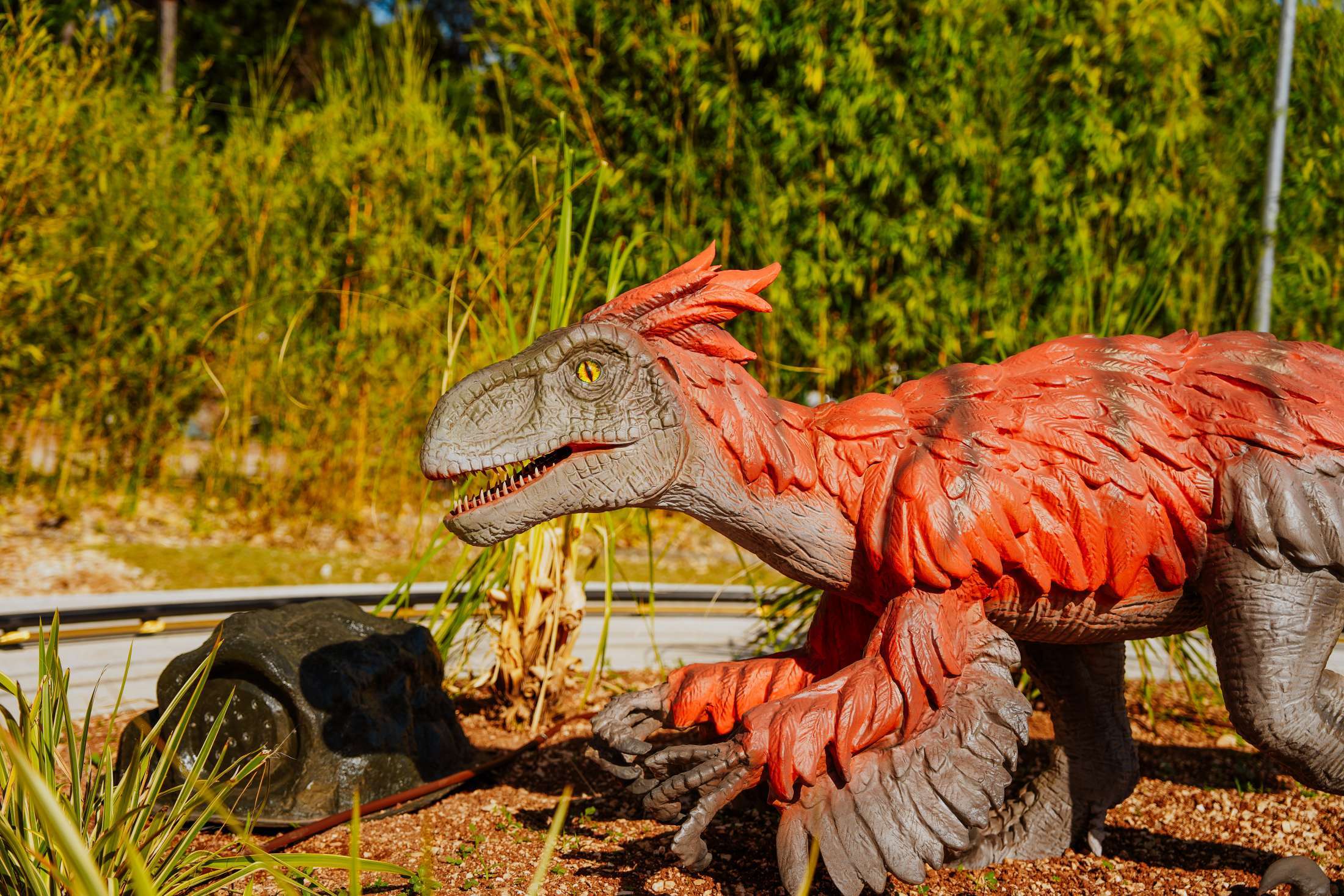 Attraction - Dino world
